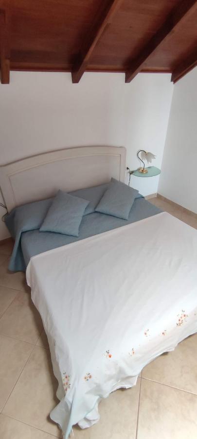 Sal Service New Studio Penthouse Санта Мария Екстериор снимка