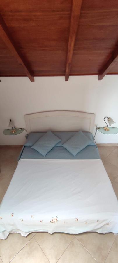 Sal Service New Studio Penthouse Санта Мария Екстериор снимка
